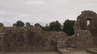 Cashel Rock Hore Abbey kalıntıları görülen