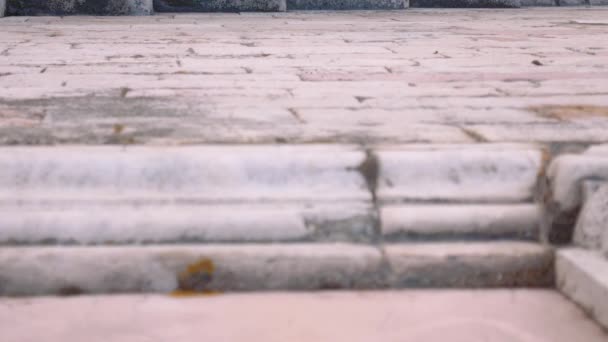 Ragazza che legge un libro su scale di marmo, alto angolo, tilt shot, Italia — Video Stock