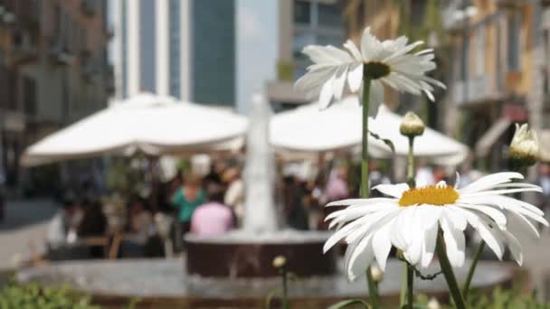 Gente comiendo y bebiendo en Corso Como, Milán, Italia. Flores en primer plano, enfoque suave — Vídeos de Stock