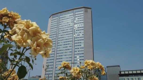 Pirellone felhőkarcoló-Milánó, Olaszország, előtérben a sárga virágok — Stock videók