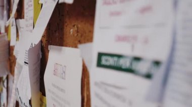 Bir üniversite bulletin board broşür