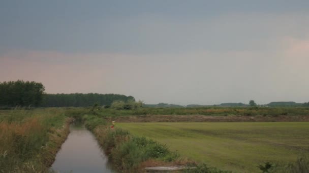 Sterke wind in Italiaanse platteland met vliegende pappuses en god stralen — Stockvideo