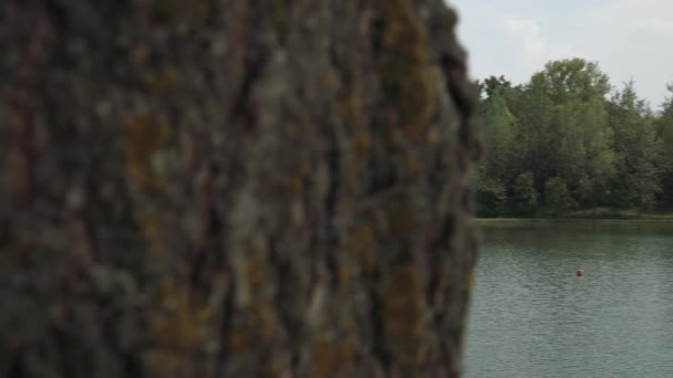 Gravellona, Ιταλία – περίπου το Μάιο 2016: αποκαλυπτικό στιγμιότυπο μιας λίμνης σε ένα αγροτικό πάρκο με οικογένειες σε απόσταση — Αρχείο Βίντεο
