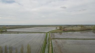 Hava üst pirinç tarlaları kırsal üzerinde azalan vurdu