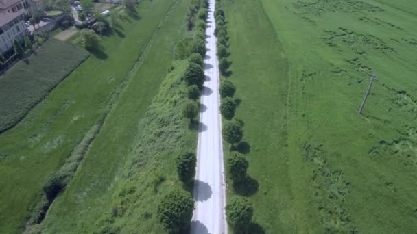 Tiro superior aéreo sobre uma estrada rural com árvores — Vídeo de Stock