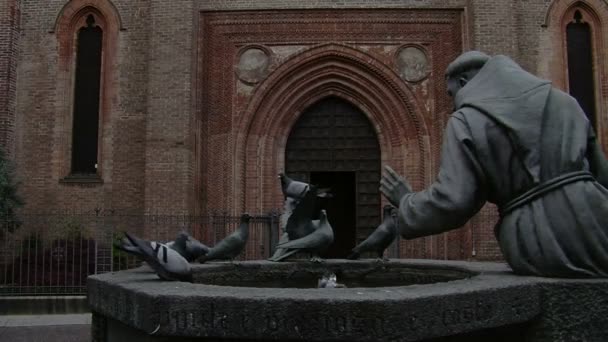 Tauben, die von der Statue des Heiligen Franziskus von Assisi wegfliegen, vigevano, pv, italien — Stockvideo