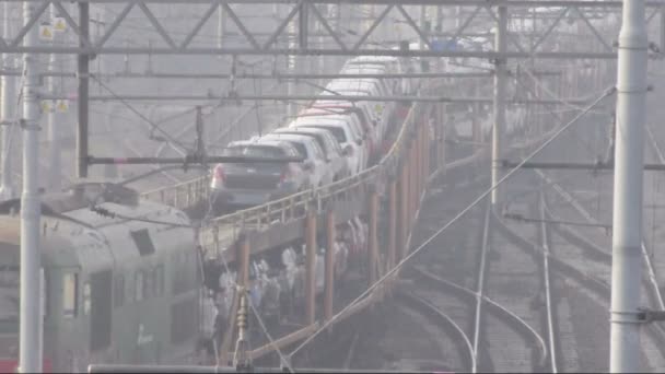 Tren de carga de Tele de tiro medio que transporta automóviles que pasan, Pavía, PV, ITALIA — Vídeos de Stock