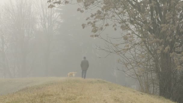 Long Shot Hombre en coutryside caminar con su perro en la niebla, Pavía, PV, ITALIA — Vídeos de Stock
