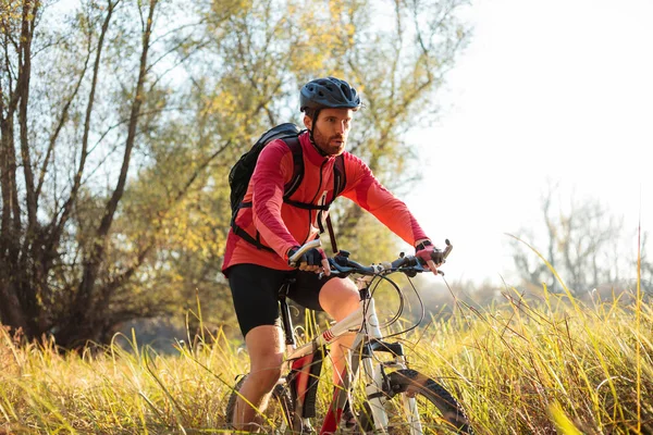 Determined young bearded mountain biker riding along a path through tall grass