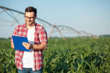 Mutlu genç çiftçi veya agronomist bir panoya yazma, mısır tarlaları muayene