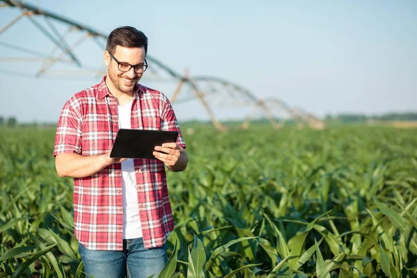 Mısır alanında bir tablet kullanarak mutlu genç çiftçi veya agronomist. Arka planda sulama sistemi