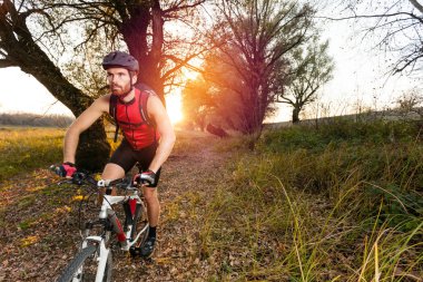 Kırmızı kolsuz bisiklet gömlek li genç sakallı adam bir parkta kameraya doğru dağ bisikleti sürme. Arka planda gün batımı 