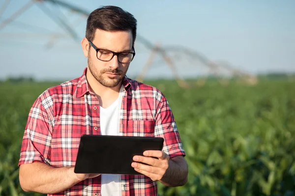 Bir tablet üzerinde çalışan kırmızı damalı gömlek ciddi genç çiftçi 