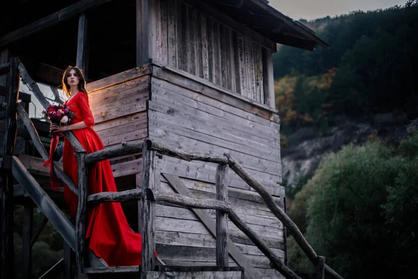 Księżniczka Bride na skraju starego drewnianego jeziora nad jeziorem. Baśń. — Zdjęcie stockowe