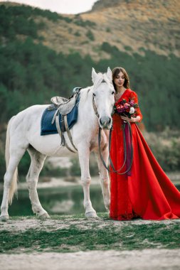 Bir peri masalı ndan kırmızı elbiseli prenses.