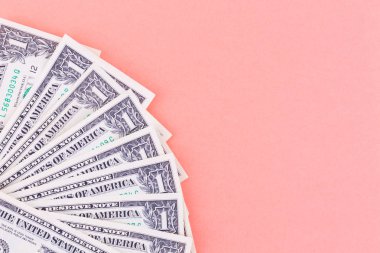 Yılın rengine göre bir dolar. Bir yazıt için yer.