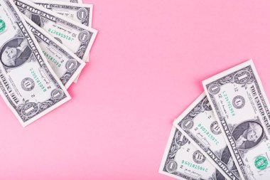 Yılın rengine göre bir dolar. Bir yazıt için yer.