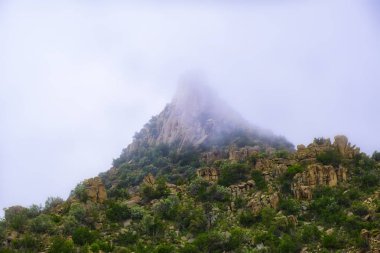 düşük açılı görünüş gündüz tarafından sis kaplı dağ tepe