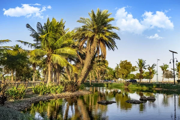 Green tropical palm park in Yanbu Industrial City,  Saudi Arabia