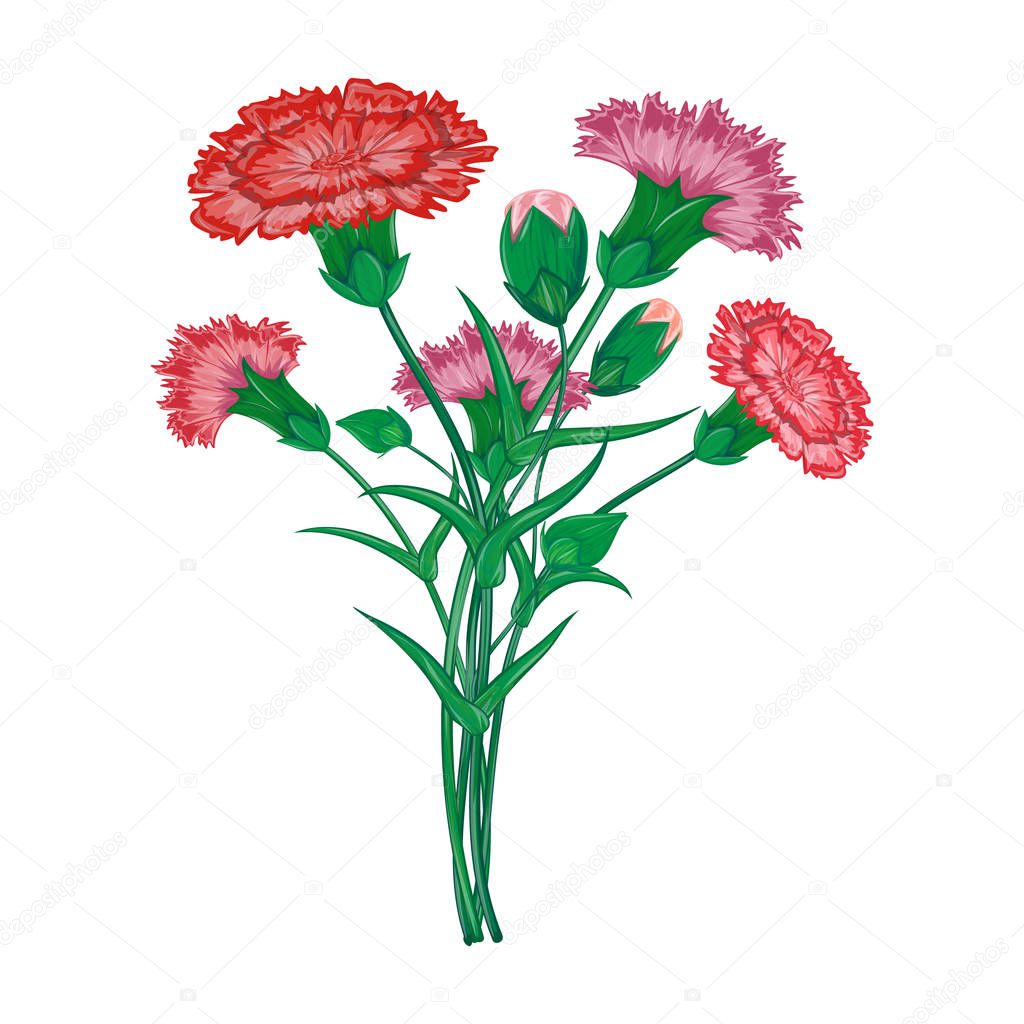 Skydesigne