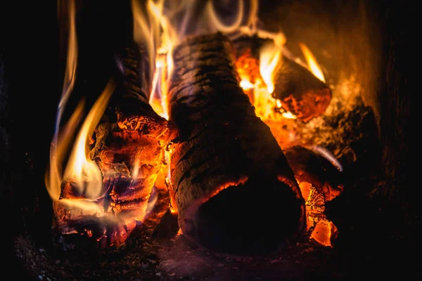 bonfire, wood fuel, fire