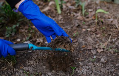 bir çiçek dikim süreci. bahçıvan çiçek yetiştirir. bahçe seti