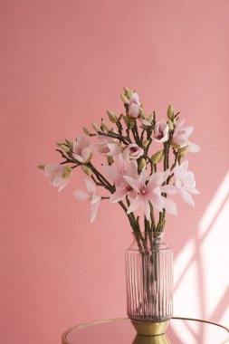 Masadaki vazoda beyaz çiçeklerden oluşan taze kiraz dalları. İlham verici, motive edici bir metin ya da yumuşak pastel pembe duvarda bir alıntı için boş bir yer. Güneş ışınları
