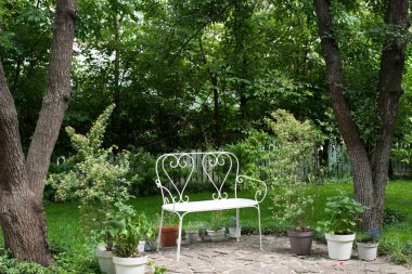 White bench with a bush. garden. green background. Background