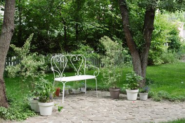 White bench with a bush. garden. green background. Background