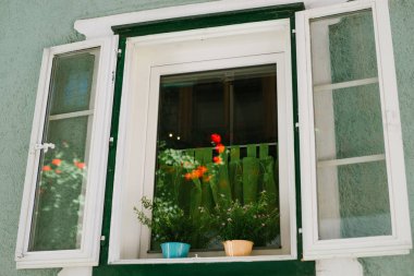 Çiçek kutusu ve panjurları olan güzel bir pencere. Pencerenin kenarında ev yapımı çiçekler olan yeşil bir duvar. saksılar