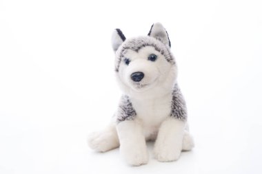 Beyaz arka planda izole edilmiş peluş, iri yapılı bir köpek..