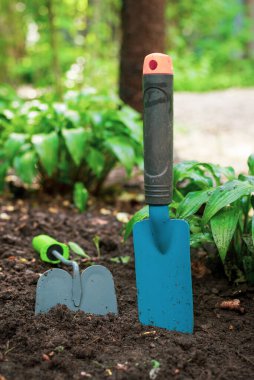 Toprakta duran bir grup bahçe aletleri..