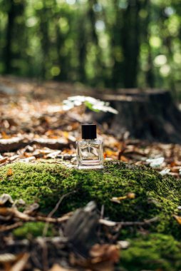 Cam bir parfüm şişesi, yosun, dallar, sonbahar yaprakları ormanın arka planına karşı ahşap bir yüzeye düşmüş. Doğanın kokusu. Güneş ışığı.
