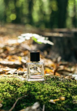 Cam bir parfüm şişesi, yosun, dallar, sonbahar yaprakları ormanın arka planına karşı ahşap bir yüzeye düşmüş. Doğanın kokusu. Güneş ışığı.
