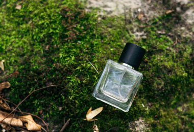 Güzel bir yosun arka planında parfüm şişesi. Doğa aromalı güzellik konsepti. en üstteki görünüm.