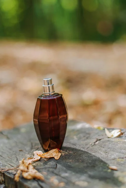 A bottle of perfume on the background of a green forest and fallen leaves. beauty and autumn mood concept. forest scent. selective focus.