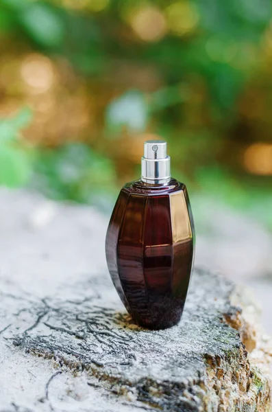 Butelka Perfum Tle Zielonego Lasu Opadłych Liści Piękna Jesienna Koncepcja — Zdjęcie stockowe