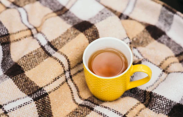 Vista Superior Uma Xadrez Bege Uma Xícara Chá Amarelo Conceito — Fotografia de Stock