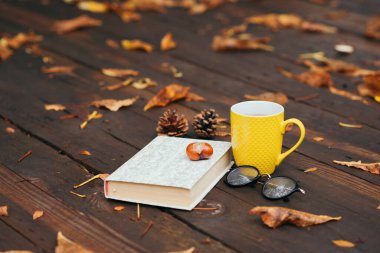Terastaki eski ahşap zeminde gözlüklü bir kitap ve bir fincan sıcak çay. Düşmüş sarı yapraklar ve kestane. Sonbahar kasvetli havası ve havası.