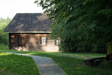 görkemli ağaçlar arasında tarihi eski yer