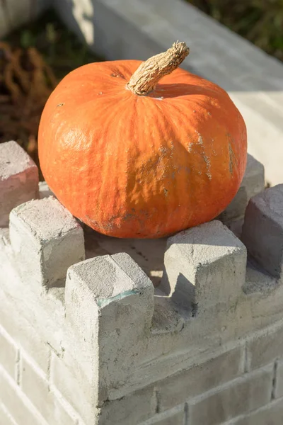 orange big juicy pumpkin on a stone fence