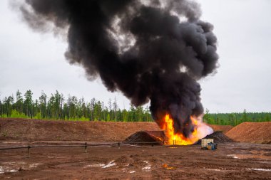  Orman yangını. Yasadışı yanık çöp, zehirli duman, yangın ve duman, zehirli duman bulutları. Orman ve elektrik santralinde duman. Hava kirliliği. 