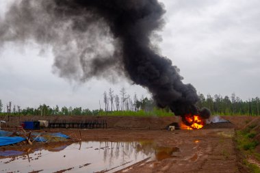  Orman yangını. Yasadışı yanık çöp, zehirli duman, yangın ve duman, zehirli duman bulutları. Orman ve elektrik santralinde duman. Hava kirliliği. 