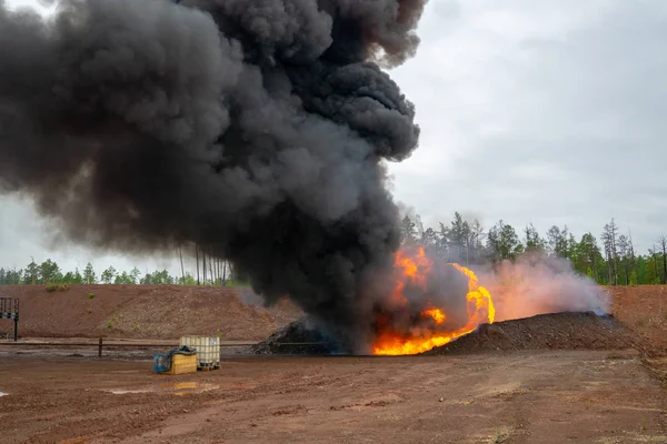 Fuego forestal. Quemaduras ilegales, humo venenoso, fuego y humos, nubes de humo tóxico. Humo sobre el bosque y la central eléctrica. Contaminación ambiental . —  Fotos de Stock