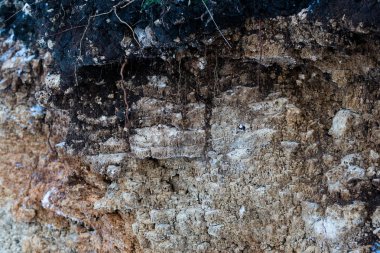 Toprak kesme kumtaşı, taşlar, kil, kum yapısı ve tabakaları. farklı yapıların katmanları ile kum dilim. Tortul kumtaşı kaya katmanları.