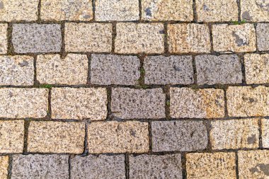 Çok Renkli Kaldırım Karo Suleksiyon. Farklı Renklerde Yapay Taş Döşeme Doku. Taşların arasında ve çevresinde yetişen çimile Bahçe taş yolu, Tuğla Kaldırım