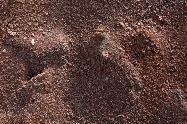 Kırmızı toprak veya toprak arka plan. Kırmızı kiltropikal laterit toprak arka plan. Kuru Turuncu yüzey, Doğal afet resmi. Küresel ısınma ve ormansızlaşmanın neden olduğu kuraklık arazileri.