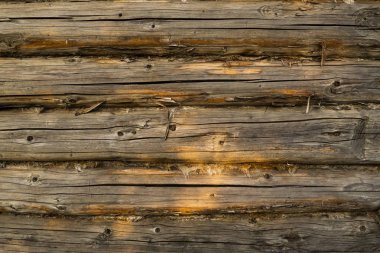 Doğal desenli ahşap doku. Hollywood dokusu. Kontrplak kalkan parçası. Üst Manzara. Doğal dokular. Ahşap arkaplan.