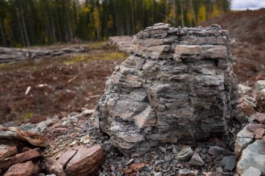 Toprak kesme kumtaşı, taşlar, kil, kum yapısı ve tabakaları. farklı yapıların katmanları ile kum dilimi.