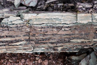 Toprak kesme kumtaşı, taşlar, kil, kum yapısı ve tabakaları. farklı yapıların katmanları ile kum dilimi.